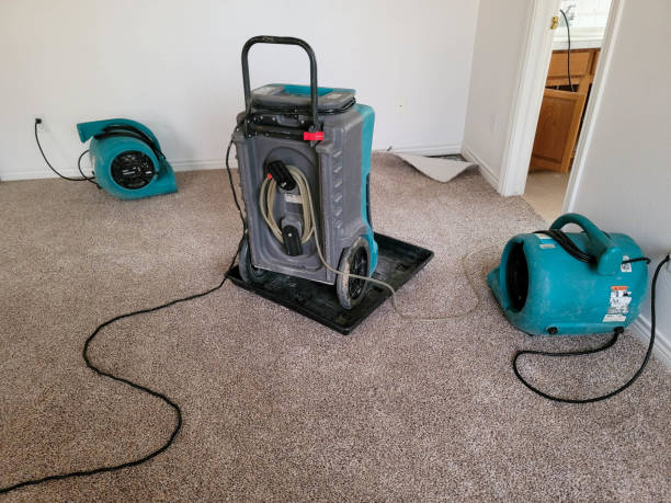 Best Carpet water damage restoration  in USA